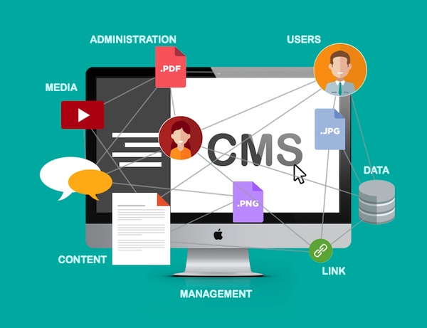 Comment choisir la meilleure plateforme CMS pour votre site web en 2024